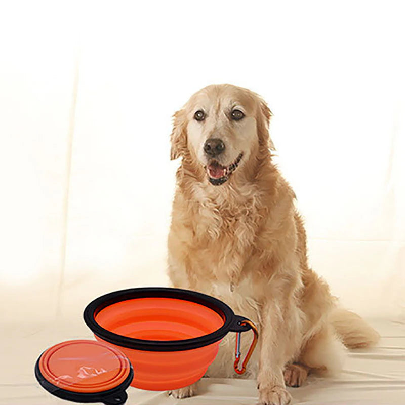 "Collapsible Silicone Pet Bowl: Ideal for Travel - Portable, BPA-Free, and Foldable for Easy Feeding On the Go!"