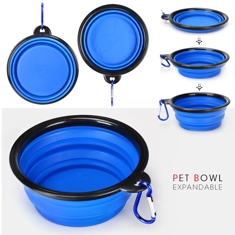 Pet Travel Duo: Collapsible Bottle & Bowl Combo"